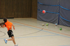 K1600_IMG_4231