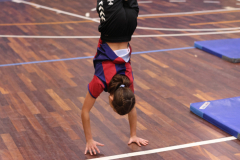 25-10-14_Herbstcamp25_Tag2_674