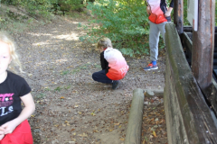 Campfoto_2018_22