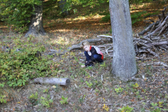 Campfoto_2018_31