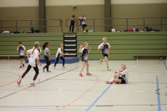 IMG_4334