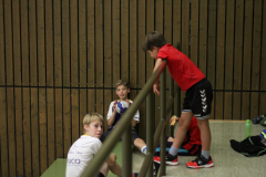 IMG_6564