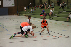 IMG_6759