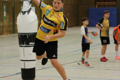 20-10-16_Herbstamp2020_Eppstein_070